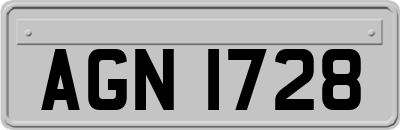 AGN1728