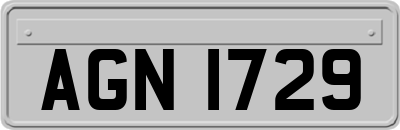 AGN1729