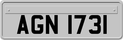 AGN1731