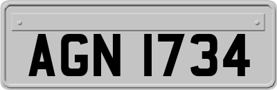 AGN1734