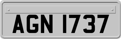 AGN1737