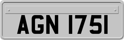 AGN1751