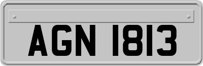AGN1813