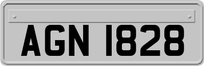 AGN1828
