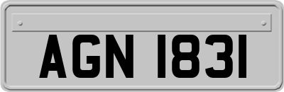 AGN1831