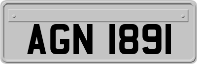AGN1891