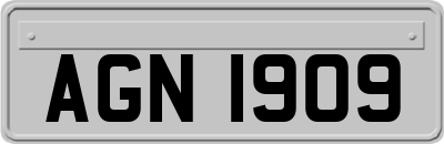 AGN1909