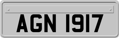 AGN1917
