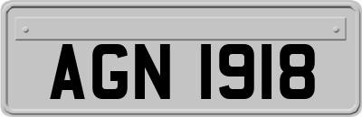 AGN1918