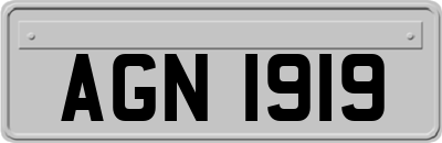 AGN1919