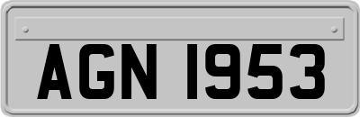 AGN1953