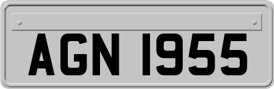 AGN1955