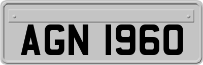 AGN1960