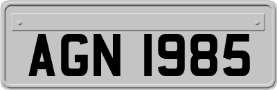 AGN1985