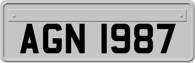 AGN1987