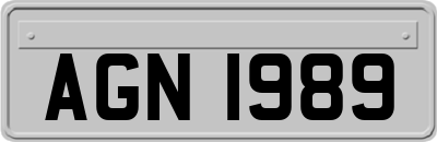 AGN1989