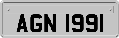 AGN1991