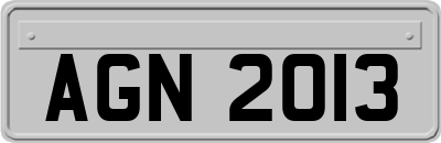 AGN2013