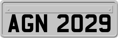 AGN2029