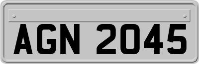 AGN2045