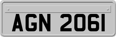 AGN2061