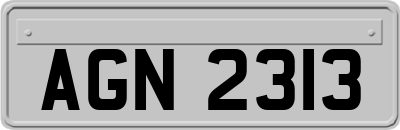 AGN2313