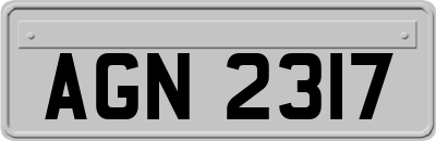 AGN2317