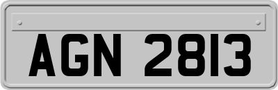 AGN2813
