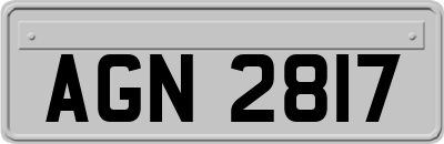 AGN2817