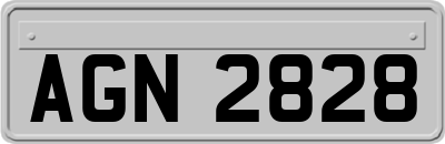 AGN2828