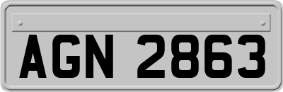AGN2863