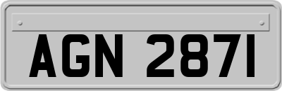 AGN2871