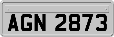 AGN2873