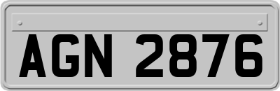 AGN2876