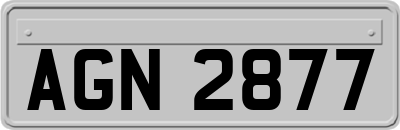 AGN2877