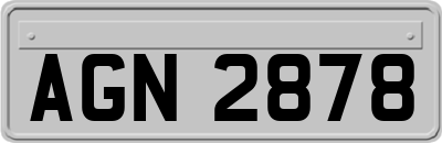 AGN2878