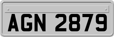 AGN2879