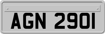 AGN2901