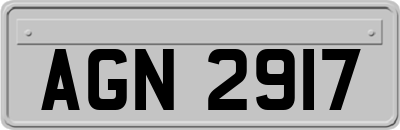 AGN2917