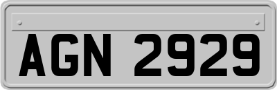 AGN2929