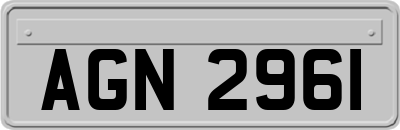 AGN2961