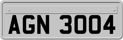 AGN3004