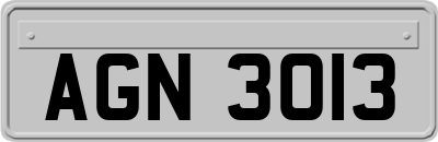 AGN3013