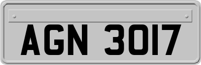 AGN3017