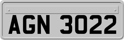 AGN3022