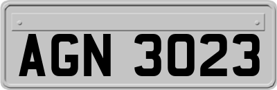 AGN3023