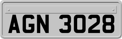 AGN3028