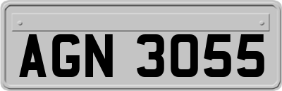 AGN3055