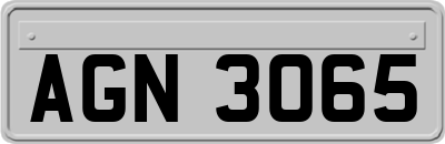 AGN3065