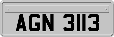 AGN3113
